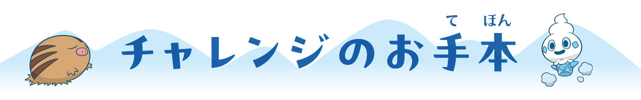 チャレンジのお手本